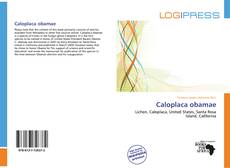Buchcover von Caloplaca obamae