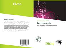 Portada del libro de Confuciusornis