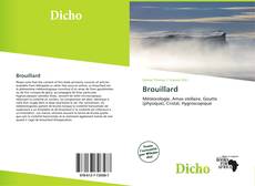 Portada del libro de Brouillard