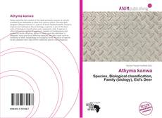 Couverture de Athyma kanwa