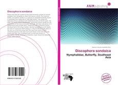 Couverture de Discophora sondaica