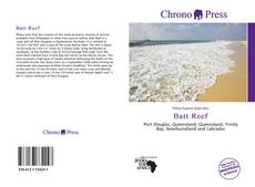 Portada del libro de Batt Reef