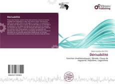 Dérivabilité kitap kapağı