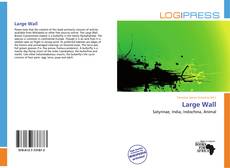 Buchcover von Large Wall