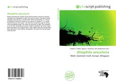 Copertina di Alsophila aescularia