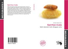 Buchcover von Epirrhoe rivata