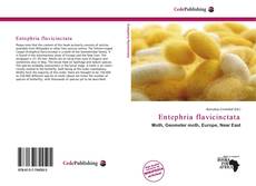 Portada del libro de Entephria flavicinctata