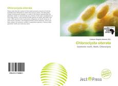 Обложка Chloroclysta siterata