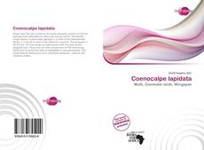 Bookcover of Coenocalpe lapidata