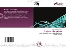 Bookcover of Euphyia biangulata