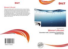 Bookcover of Blomer's Rivulet