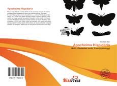 Couverture de Apocheima Hispidaria