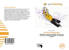 Andrius Gedgaudas kitap kapağı