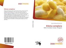 Eilema complana的封面