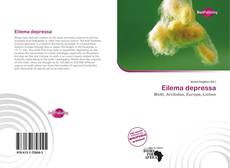 Bookcover of Eilema depressa