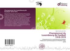 Championnat du Luxembourg de Football 1918-1919 kitap kapağı