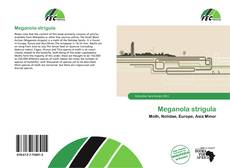 Buchcover von Meganola strigula