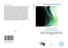 Buchcover von David Wilmot