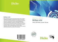Capa do livro de Brithys crini 