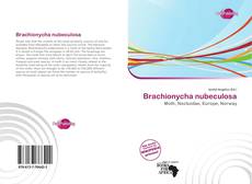 Buchcover von Brachionycha nubeculosa