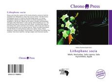 Portada del libro de Lithophane socia