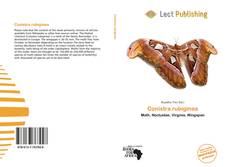 Conistra rubiginea的封面