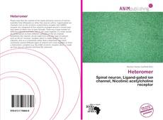 Buchcover von Heteromer