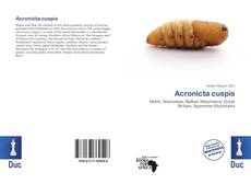 Buchcover von Acronicta cuspis