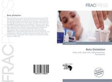 Beta Oxidation的封面
