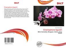 Bookcover of Craniophora ligustri