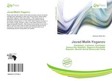 Bookcover of Javad Malik-Yeganov