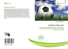 Bookcover of Cristian Silvestri