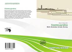 Portada del libro de Cosmia pyralina