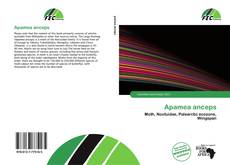 Borítókép a  Apamea anceps - hoz