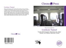 Portada del libro de Lieråsen Tunnel