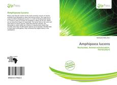 Bookcover of Amphipoea lucens