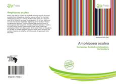 Buchcover von Amphipoea oculea