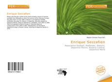 Bookcover of Enrique Seccafien