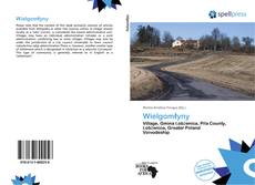 Buchcover von Wielgomłyny