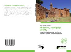Bookcover of Wilczków, Poddębice County