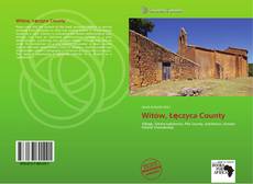 Bookcover of Witów, Łęczyca County
