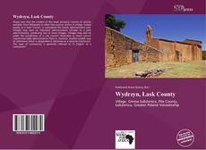 Bookcover of Wydrzyn, Łask County