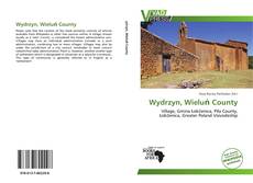 Portada del libro de Wydrzyn, Wieluń County