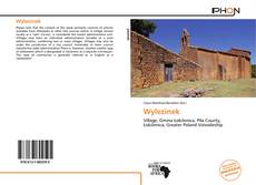 Bookcover of Wylezinek