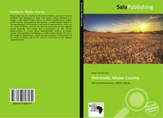 Ostrówek, Mielec County kitap kapağı