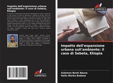 Impatto dell'espansione urbana sull'ambiente: il caso di Sebeta, Etiopia kitap kapağı