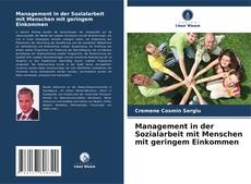 Buchcover von Management in der Sozialarbeit mit Menschen mit geringem Einkommen