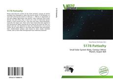 Bookcover of 5178 Pattazhy