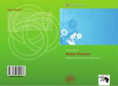 Capa do livro de Water Plantain 