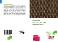 Capa do livro de Andrija Delibašić 